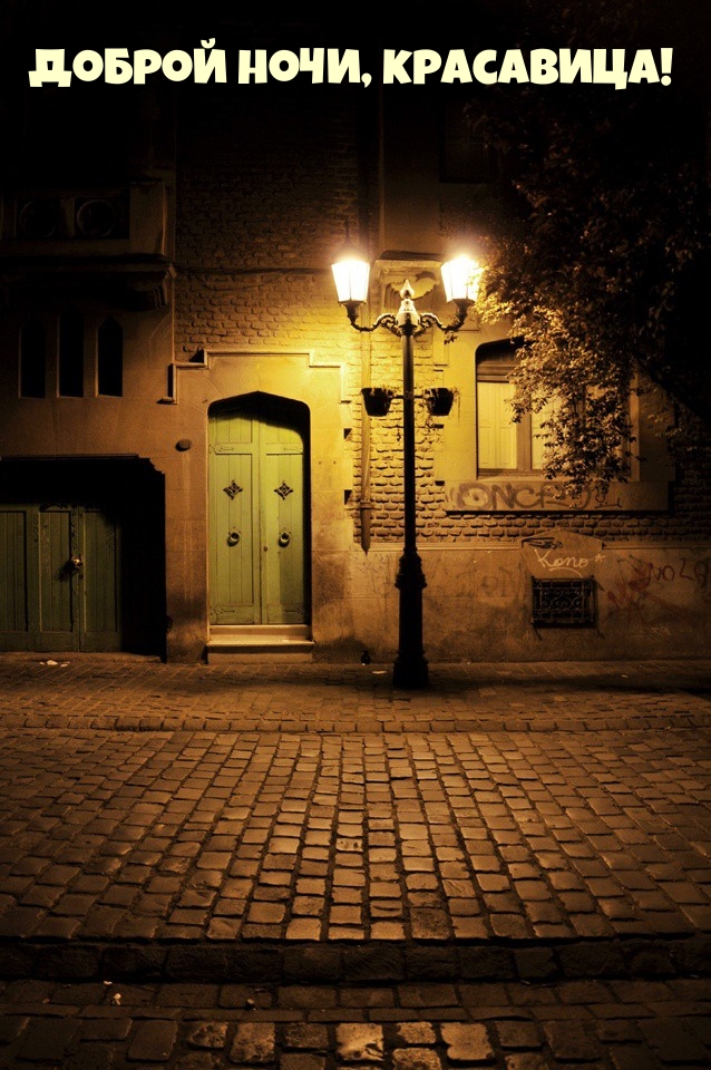 Доброй ночи, красавица!