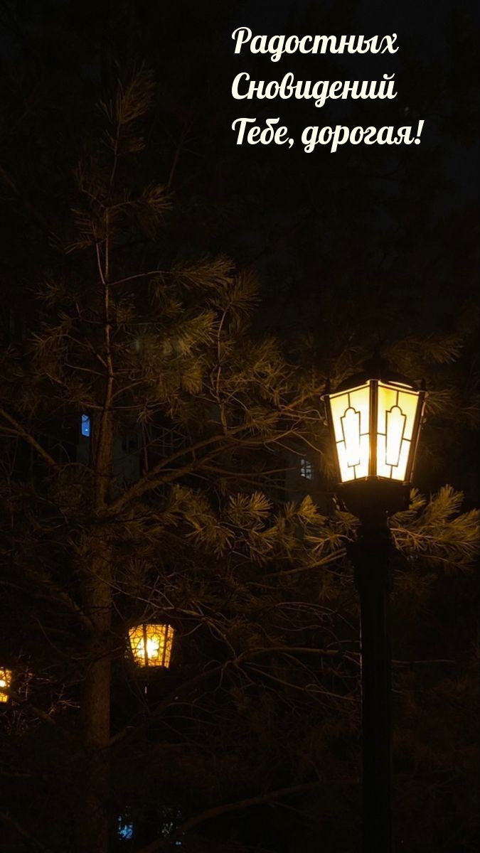 Радостных Сновидений Тебе, дорогая!