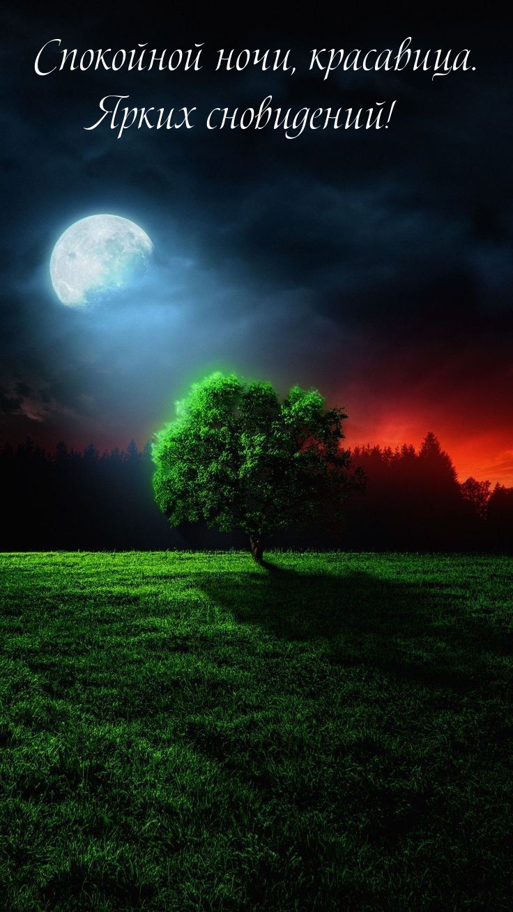 Спокойной ночи, красавица. Ярких сновидений!