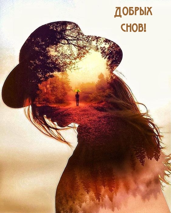 Добрых снов!