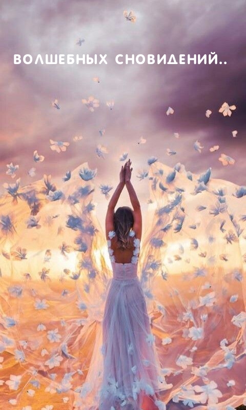 Волшебных сновидений..