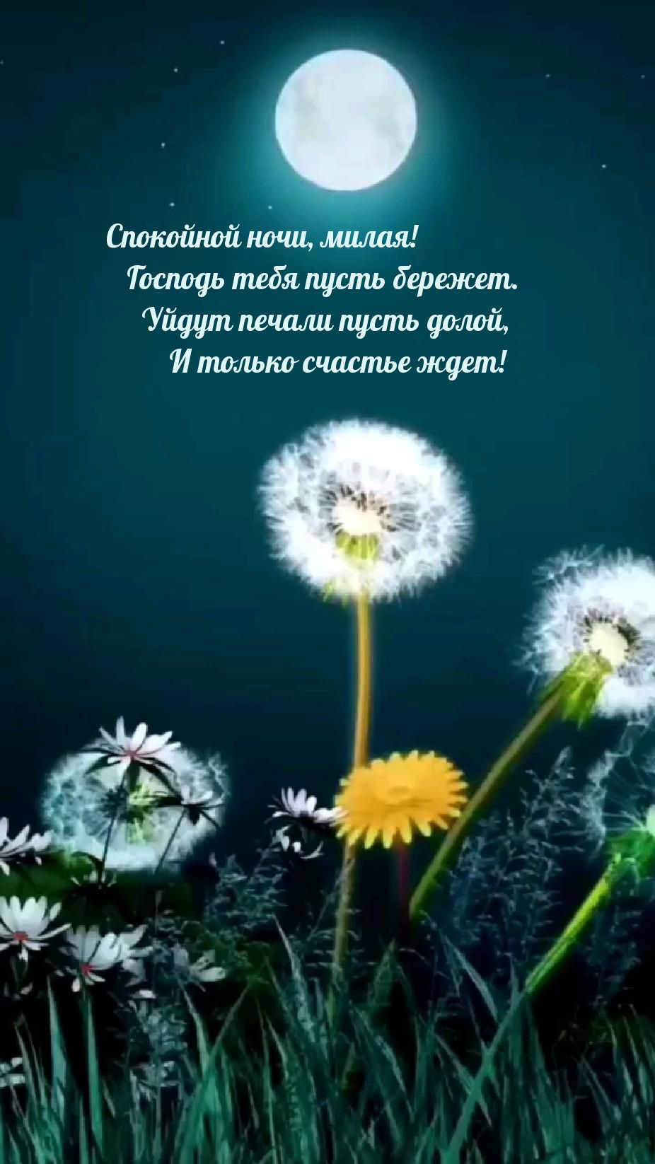 Спокойной ночи, милая! Господь тебя пусть бережет.