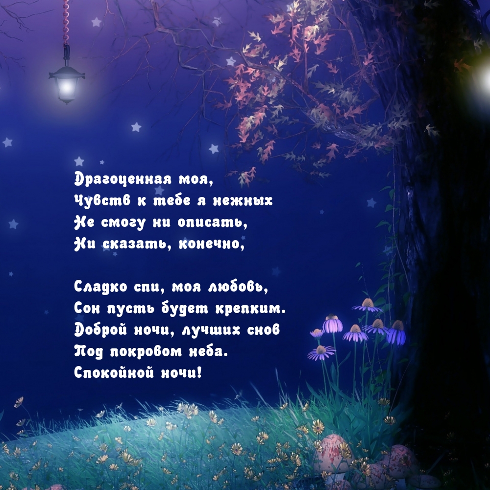 Под покровом неба. Спокойной ночи!