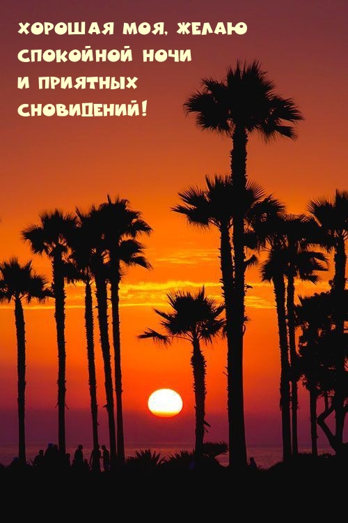 Хорошая моя, желаю спокойной ночи и приятных сновидений!