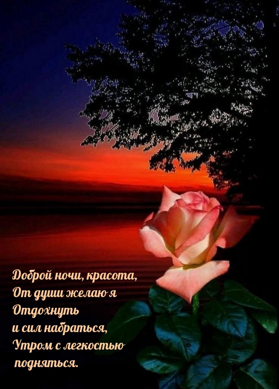 Доброй ночи, красота