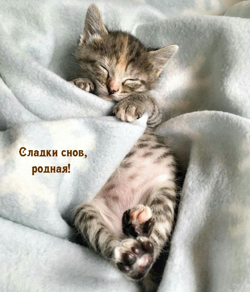 Сладки снов, родная!