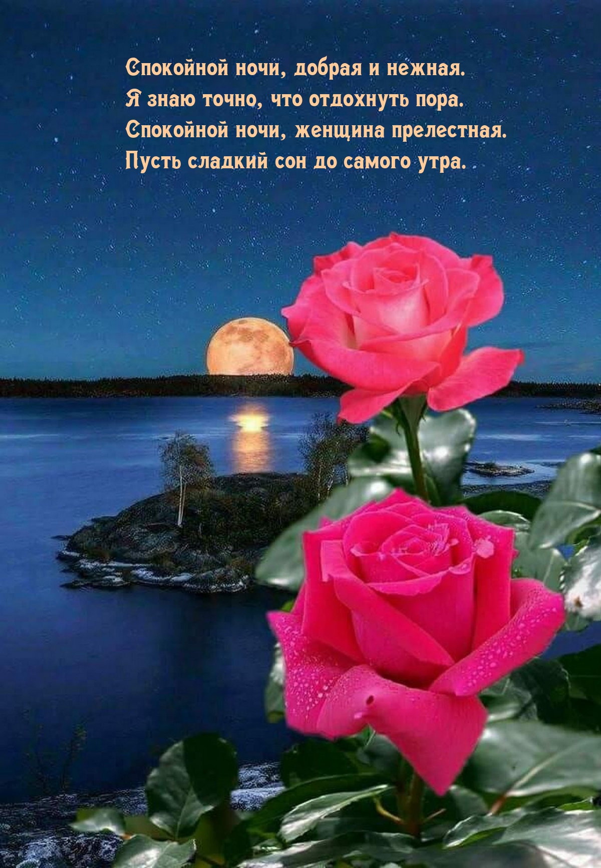 Спокойной ночи, добрая и нежная. Я знаю точно, что отдохнуть пора.