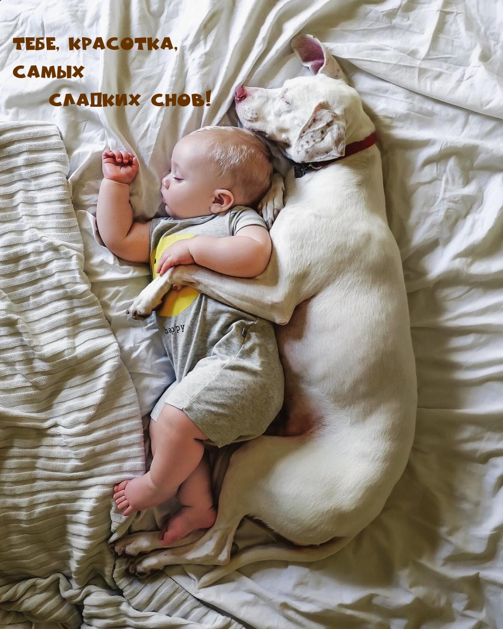 Тебе, красотка, самых сладких снов!