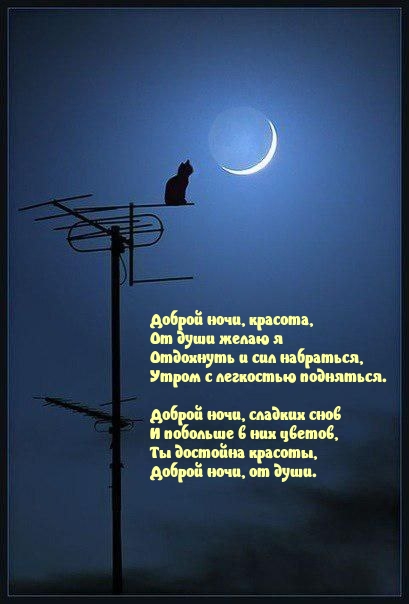 Отдохнуть и сил набраться, утром с легкостью подняться.