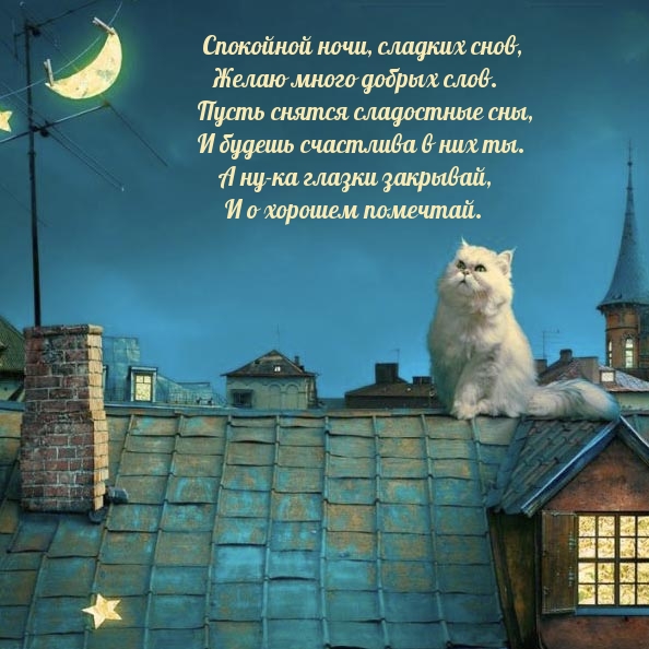 Спокойной ночи, сладких снов, желаю много добрых слов.