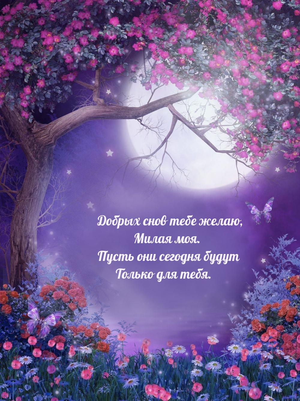 Добрых снов тебе желаю, милая моя.