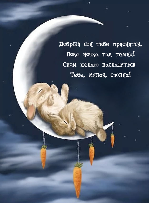 Добрый сон тебе приснится, пока ночка так темна!