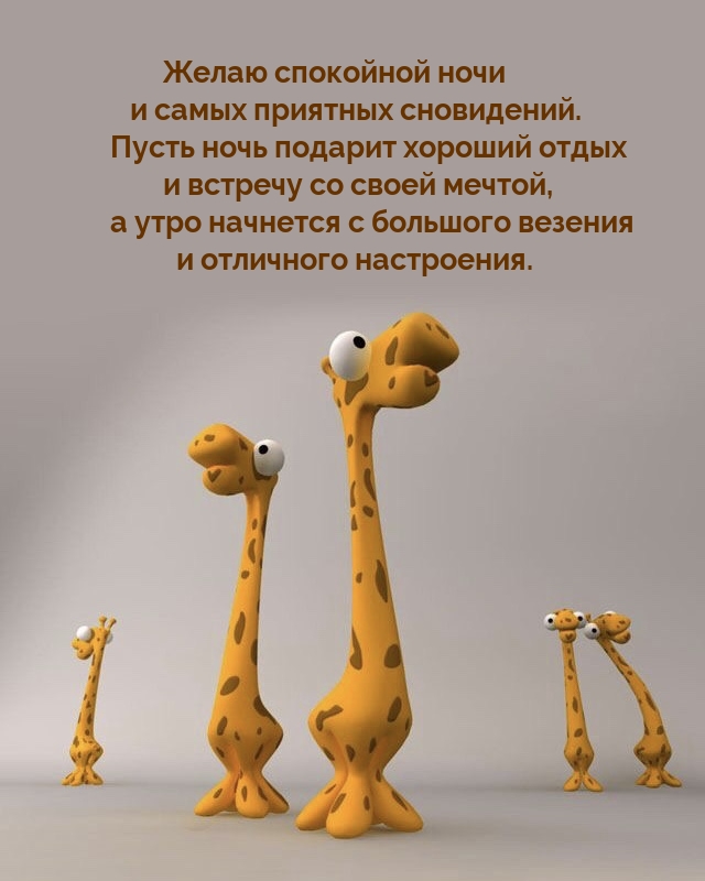 Желаю спокойной ночи и самых приятных сновидений.