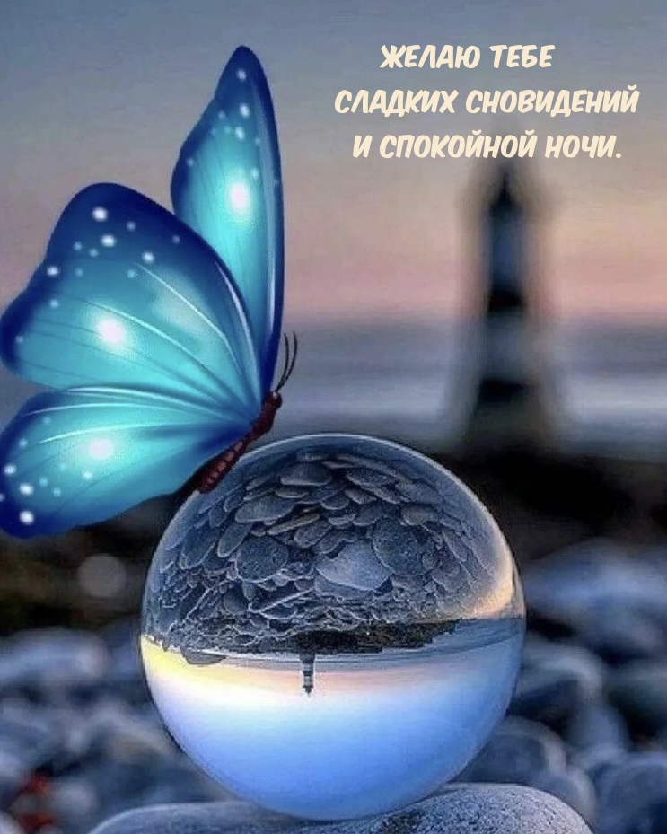 Желаю тебе сладких сновидений и спокойной ночи.