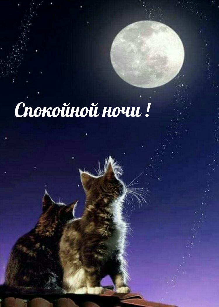 Спокойной ночи!