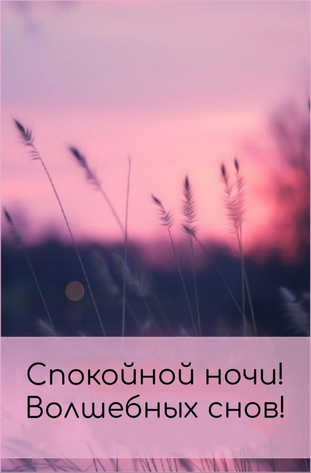 Спокойной ночи! Волшебных снов!