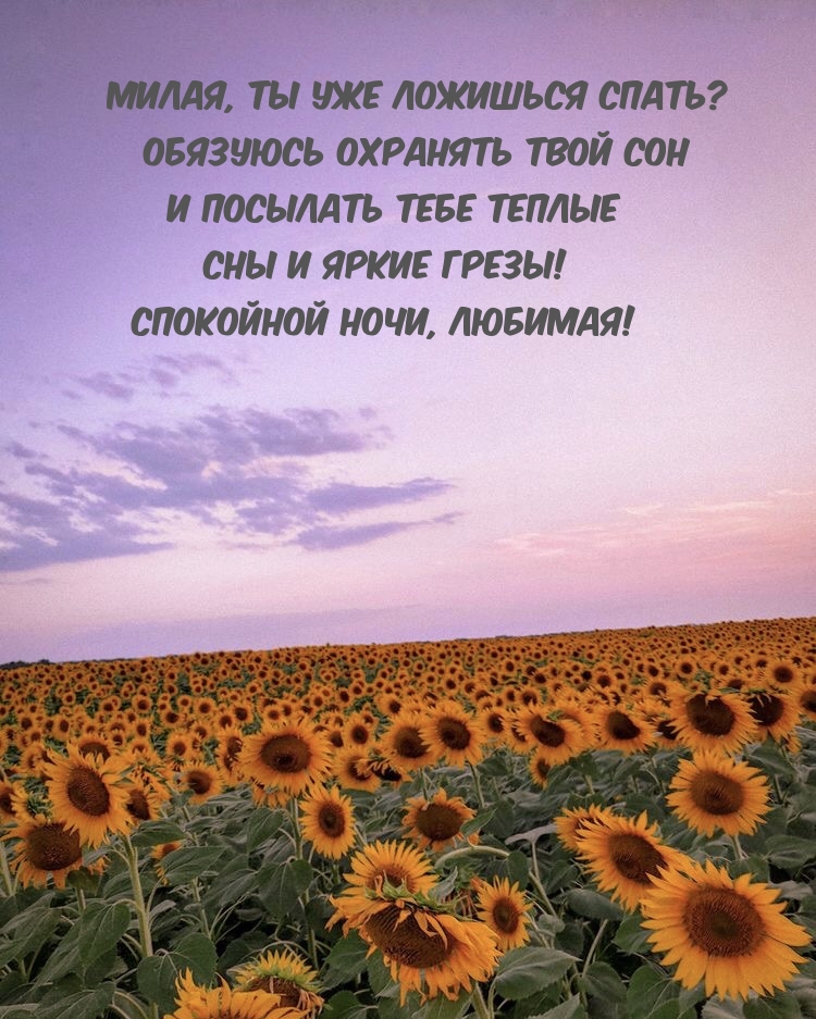 Милая, ты уже ложишься спать? Обязуюсь охранять твой сон