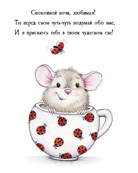 Спокойной ночи, любимая! Ты перед сном чуть-чуть подумай обо мне