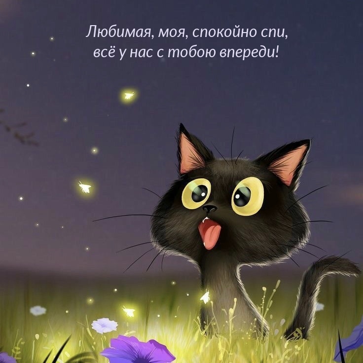 Любимая, моя, спокойно спи, всё у нас с тобою впереди!