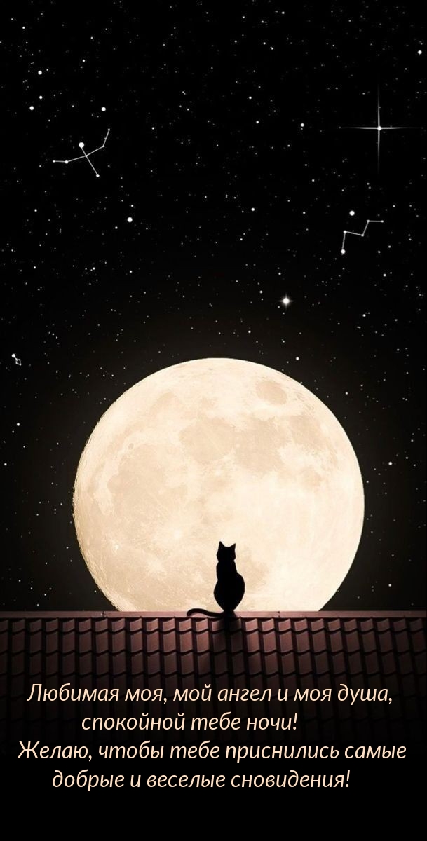 Чтобы тебе приснились самые добрые и веселые сновидения!