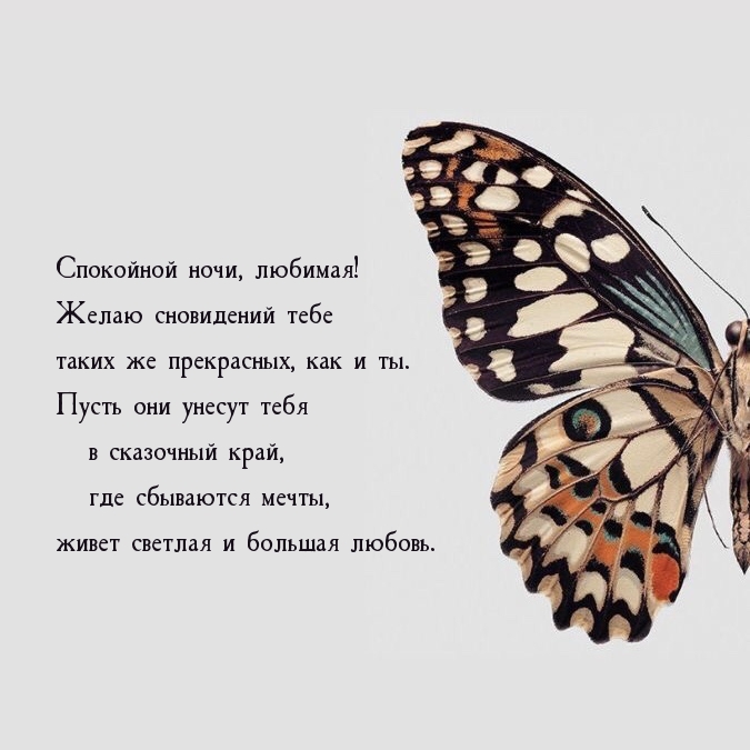 Желаю сновидений тебе таких же прекрасных, как и ты.