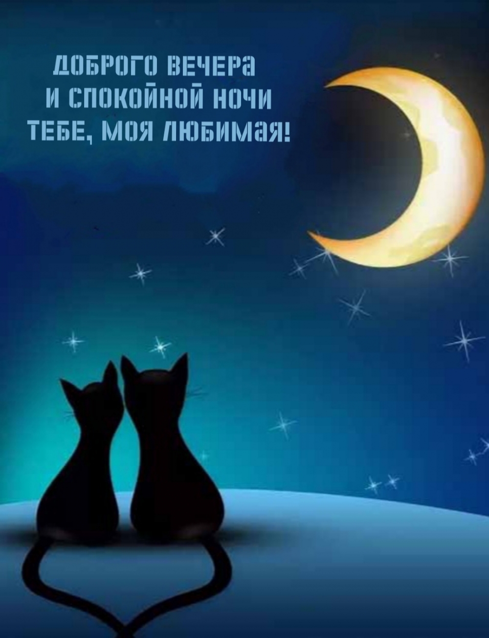 Доброго вечера и спокойной ночи тебе, моя любимая!