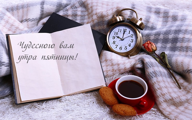Чудесного вам утра пятницы!