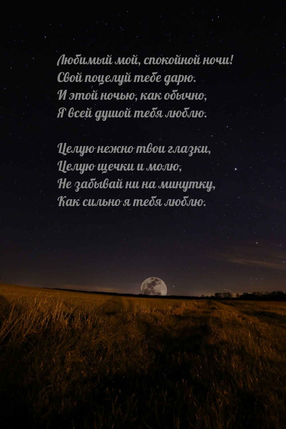 Любимый мой, спокойной ночи! Свой поцелуй тебе дарю.