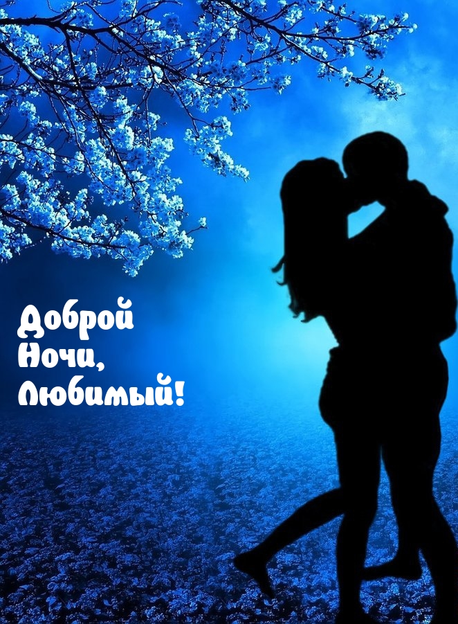 Доброй Ночи, Любимый!