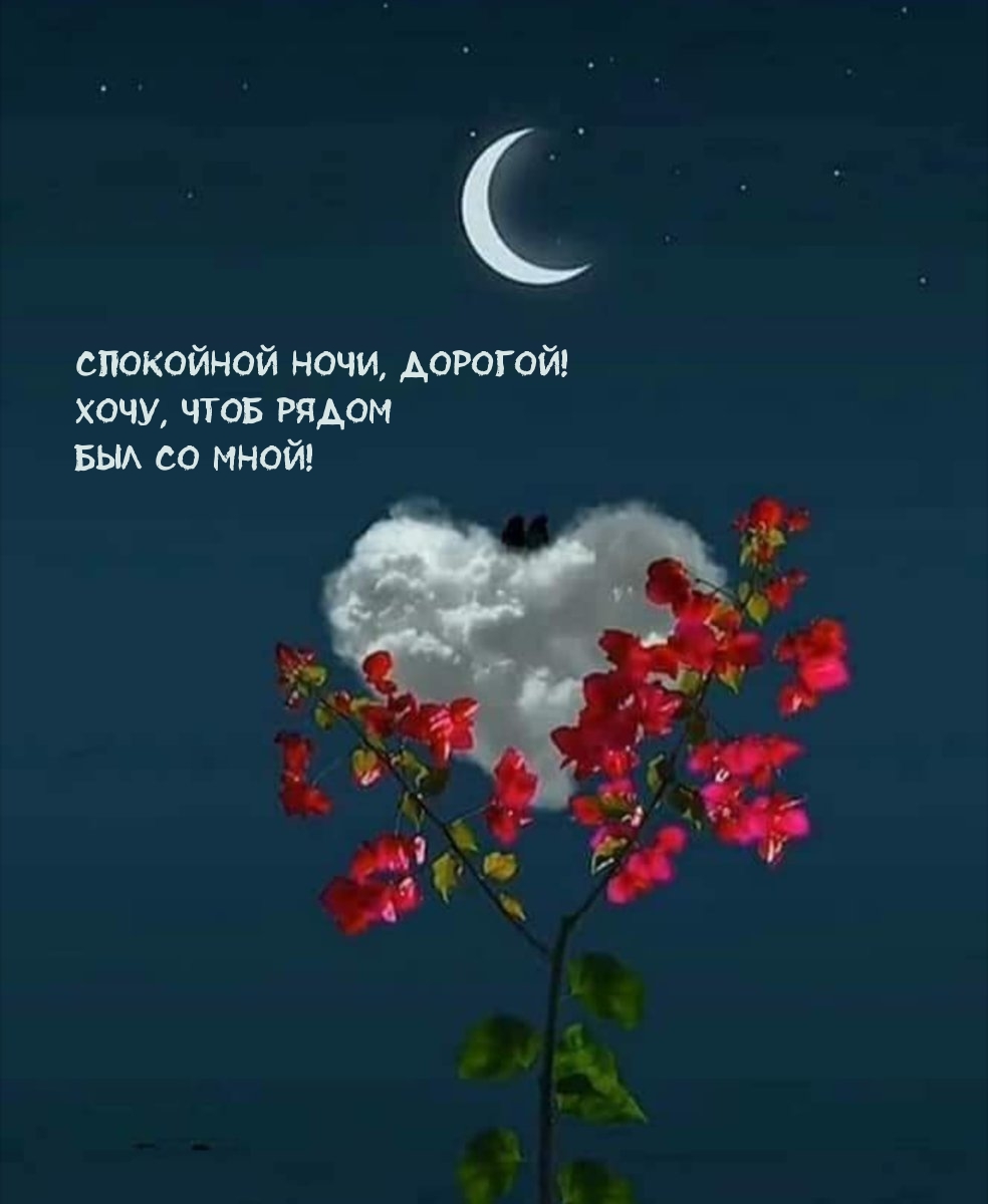 Спокойной ночи, дорогой! Хочу, чтоб рядом Был со мной!