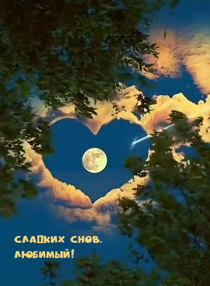 Сладких снов, Любимый!