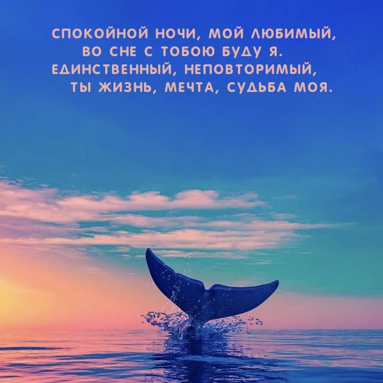 Спокойной ночи, мой любимый, Во сне с тобою буду я.