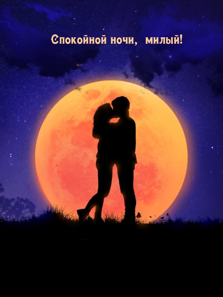 Спокойной ночи, милый!