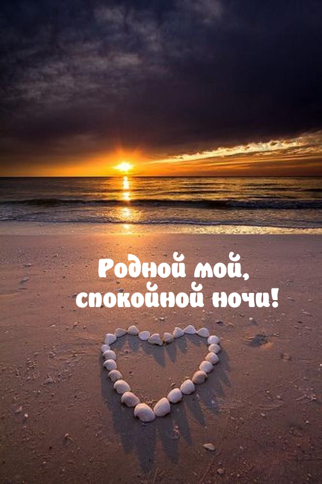 Родной мой, спокойной ночи!
