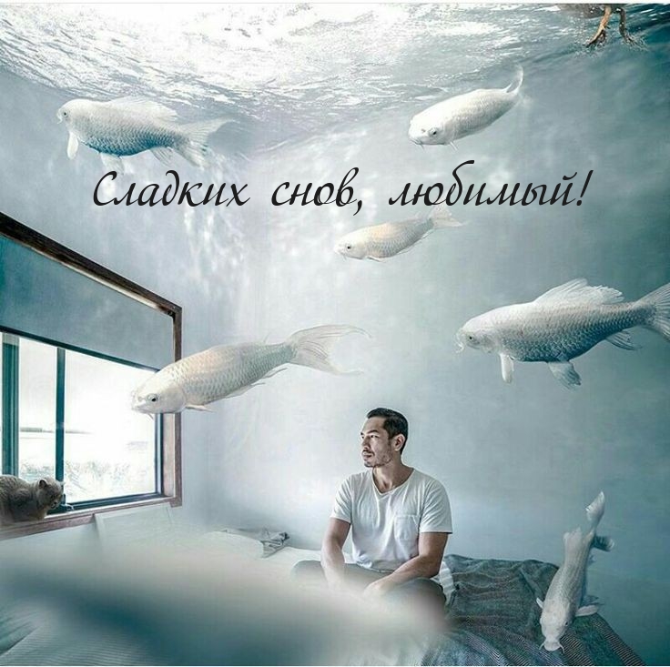 Сладких снов, любимый!