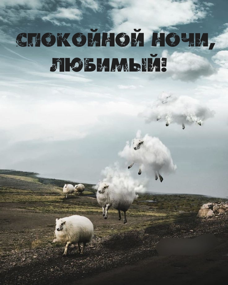 Спокойной ночи, любимый!