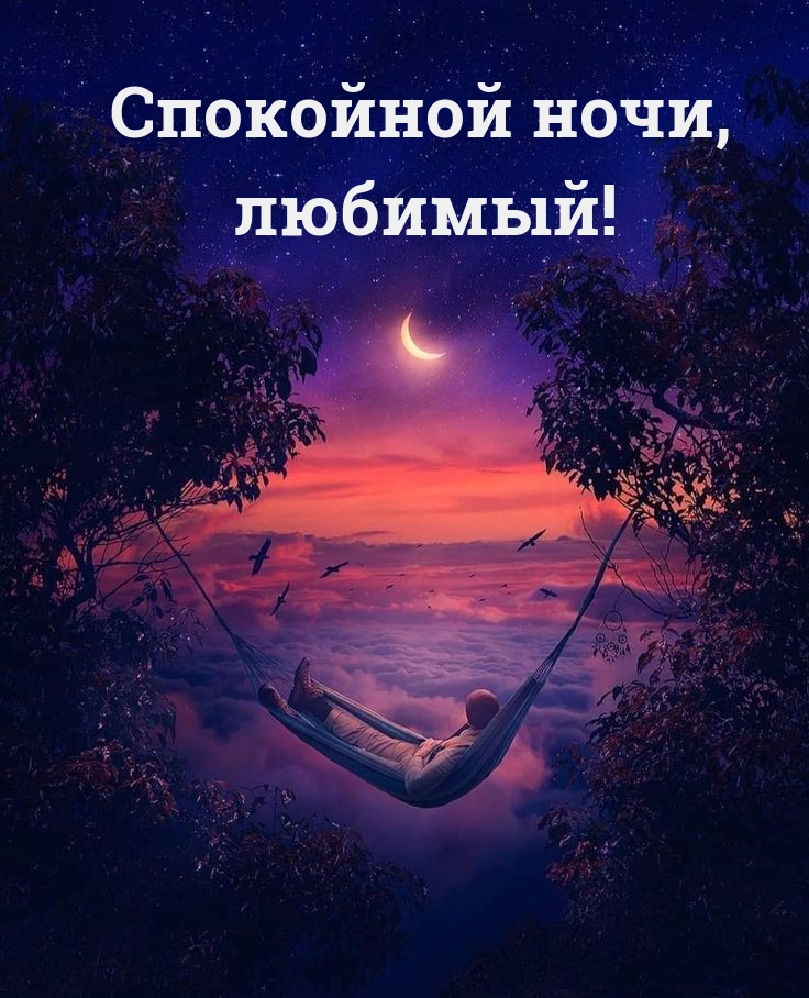 Спокойной ночи, любимый!