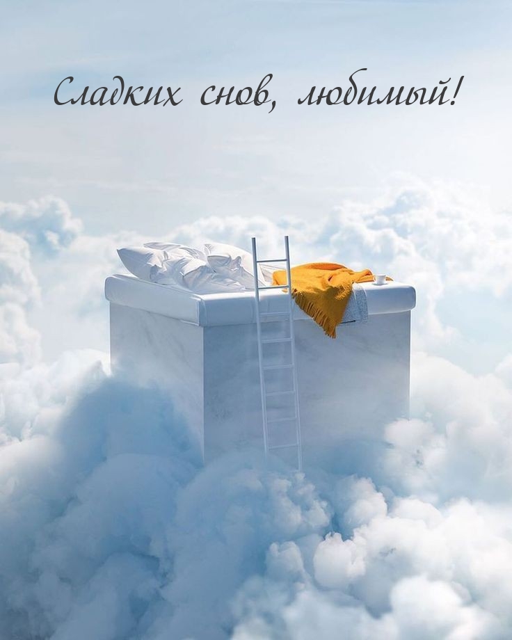 Сладких снов, любимый!