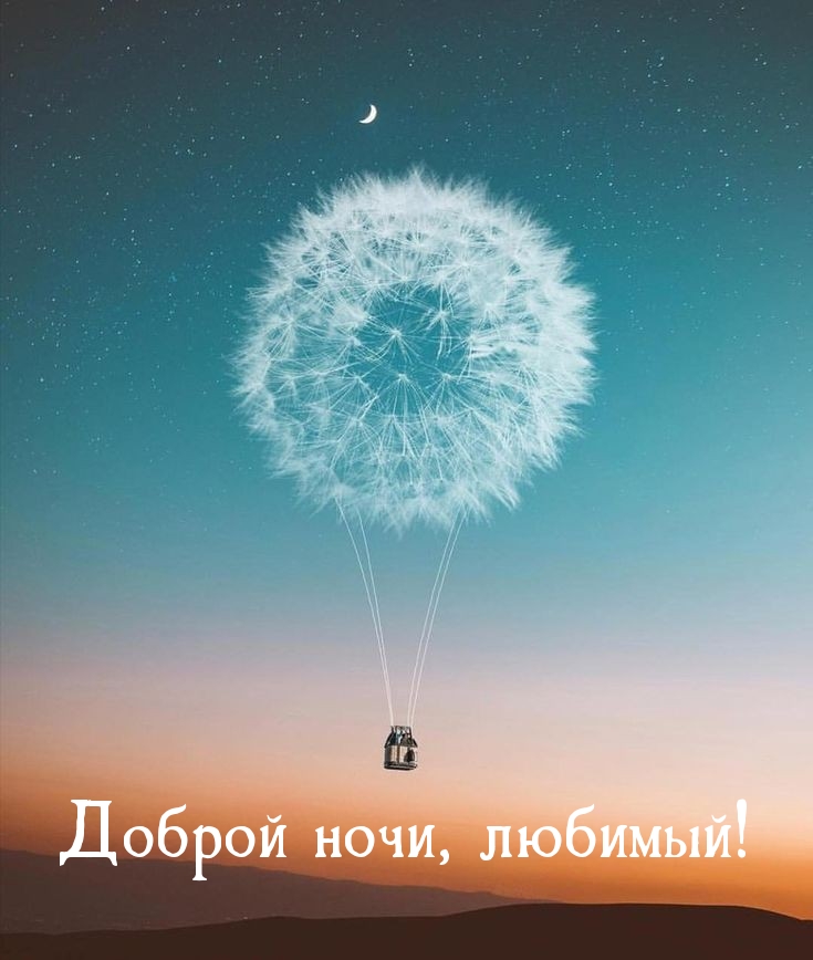 Доброй ночи, любимый!