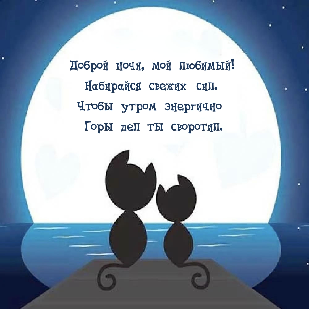 Доброй ночи, мой любимый! Набирайся свежих сил.