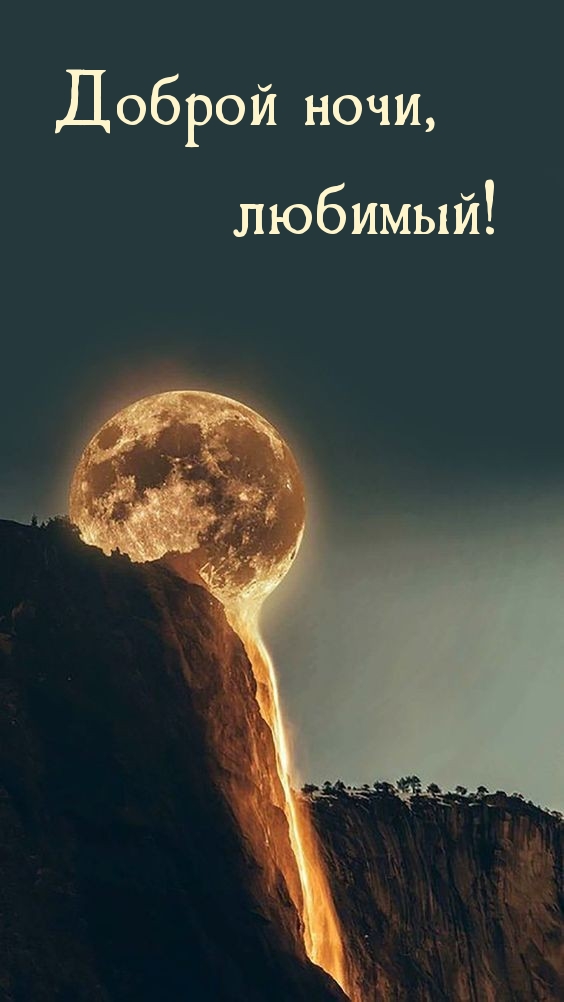 Доброй ночи, любимый!