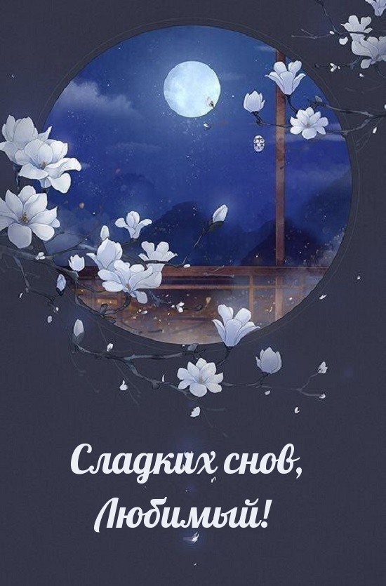 Сладких снов, Любимый!