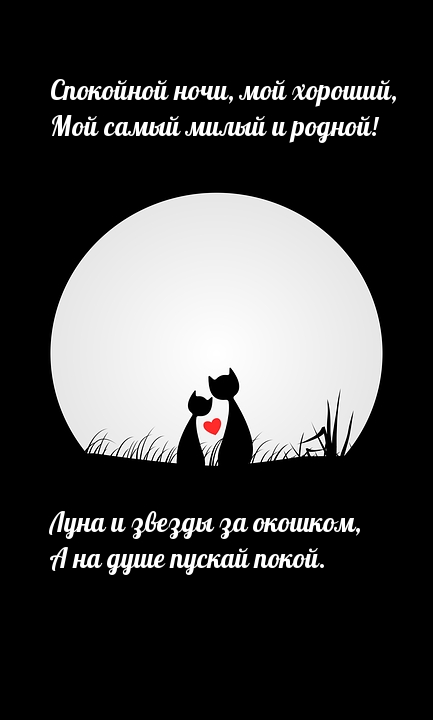 Спокойной ночи, мой хороший, мой самый милый и родной!