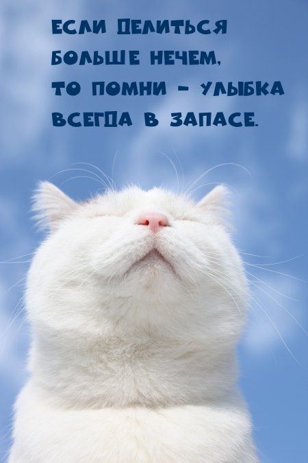 Если делиться больше нечем, то помни — улыбка всегда в запасе.