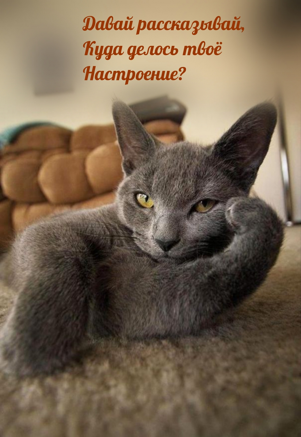 Давай рассказывай, Куда делось твоё Настроение?