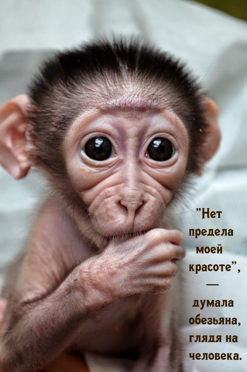 «Нет предела моей красоте»