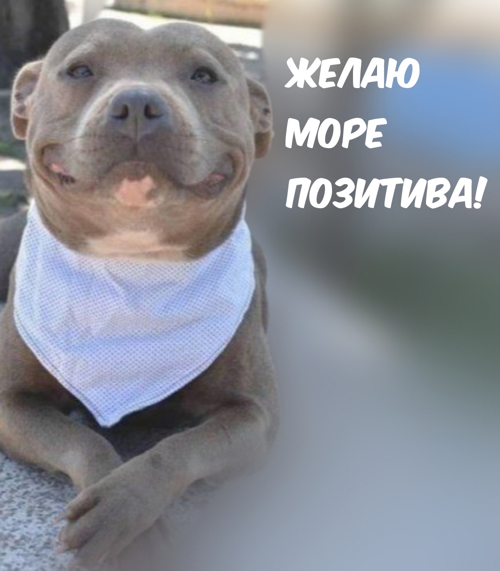 Желаю Море Позитива!