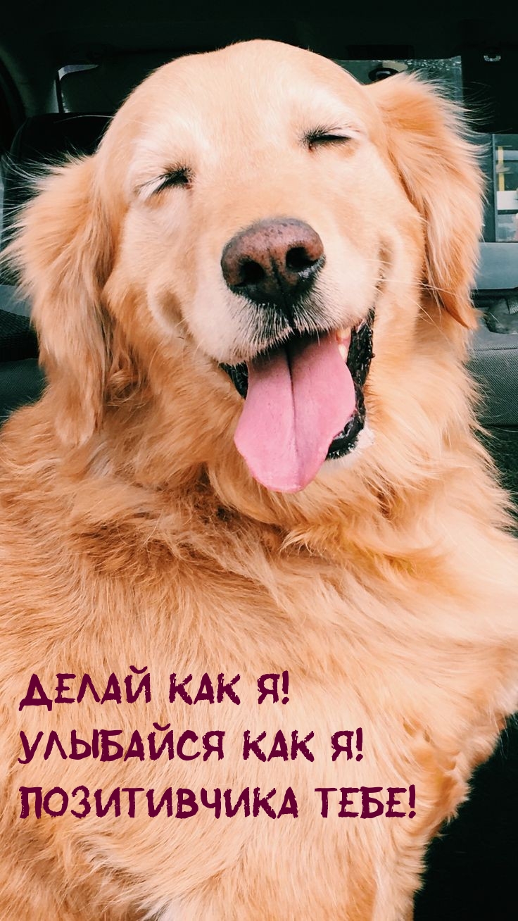 Делай как я! Улыбайся как я! Позитивчика тебе!