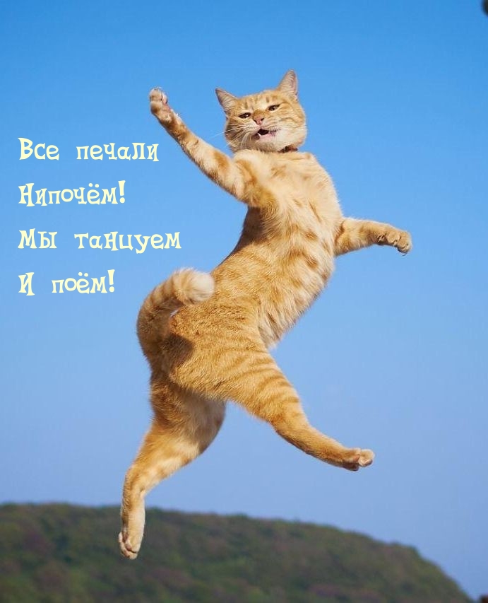Все печали Нипочëм! Мы танцуем И поём!