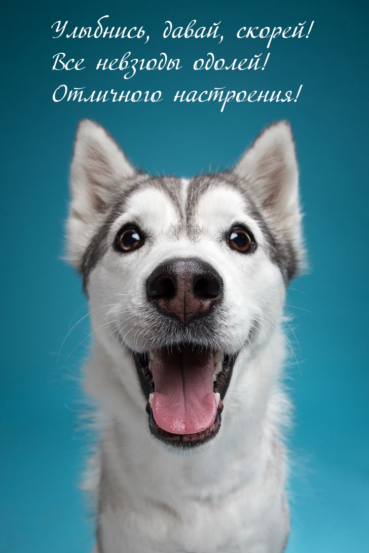 Улыбнись, давай, скорей! Все невзгоды одолей!